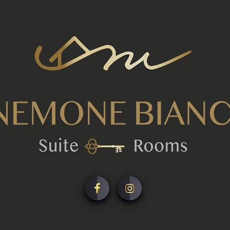 Finestra Sull'Adamello Apartment Пасо дел Тонале Екстериор снимка