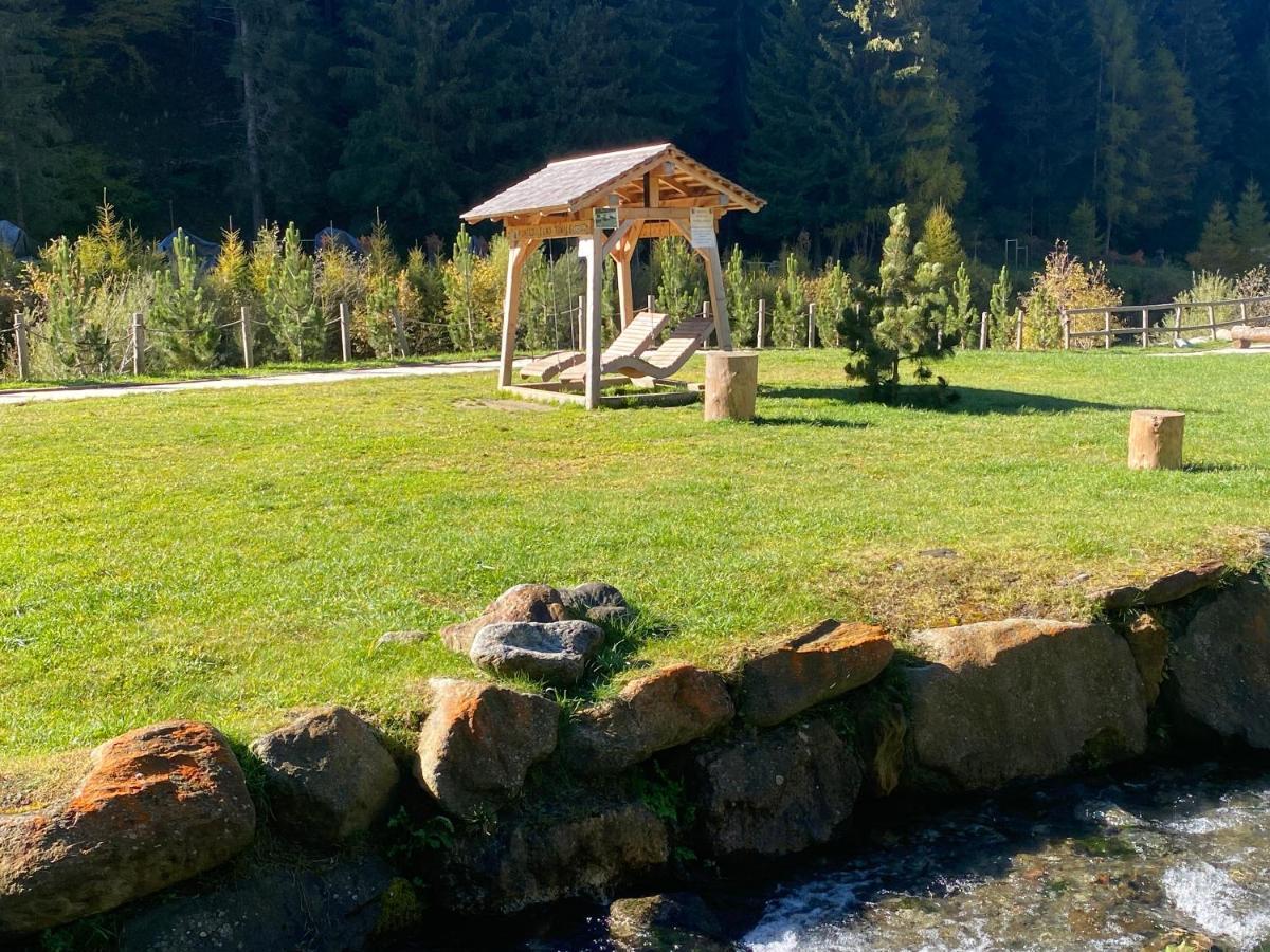 Finestra Sull'Adamello Apartment Пасо дел Тонале Екстериор снимка